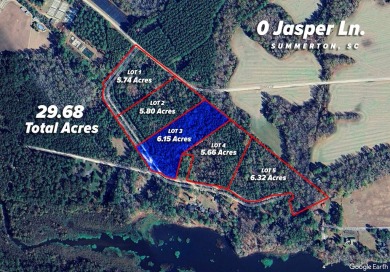 Lake Marion Acreage For Sale in Summerton South Carolina