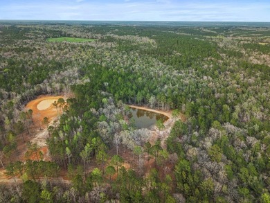Perfect location for your dream house. Secluded partially wooded - photo 11