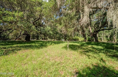 Nestled beneath a canopy of majestic live oaks, this expansive 2 - photo 13