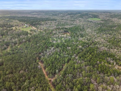 Perfect location for your dream house. Secluded partially wooded - photo 13