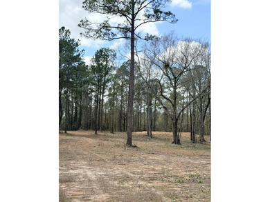 Perfect location for your dream house. Secluded partially wooded - photo 14