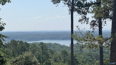 Enjoy extravagant views from the gated community of The Bluffs - photo 15
