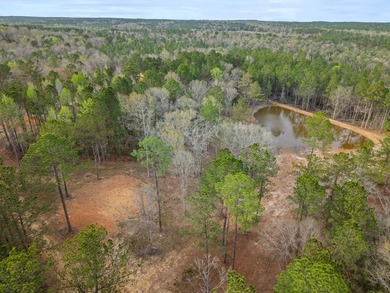 Perfect location for your dream house. Secluded partially wooded - photo 15