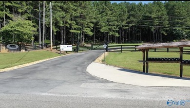 Enjoy extravagant views from the gated community of The Bluffs - photo 16