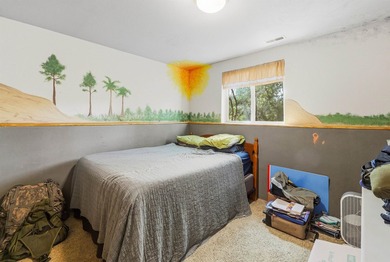 Located in a city sub division with a country feel this 4 BR 2 - photo 16
