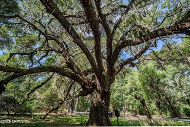 Nestled beneath a canopy of majestic live oaks, this expansive 2 - photo 17