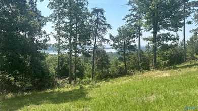 Enjoy extravagant views from the gated community of The Bluffs - photo 18