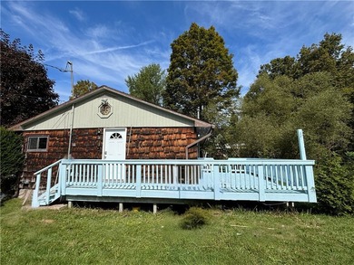 (private lake, pond, coastal) Home For Sale in Sidney Center New York