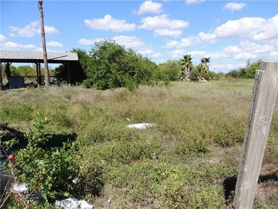10.80 acres inside the ETJ of Portland. The perfect lot for your - photo 6