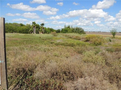 10.80 acres inside the ETJ of Portland. The perfect lot for your - photo 8