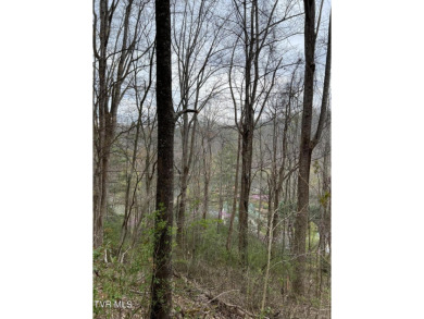 Gorgeous 1.67 acre lot overlooking the serine waters of Watagua - Lake Lot For Sale in Butler, Tennessee