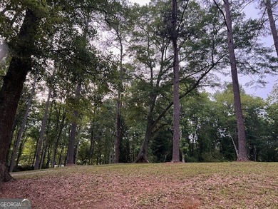 Beautiful 1.6-acre residential lot located in the heart of - photo 2
