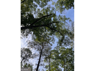 Beautiful 1.6-acre residential lot located in the heart of - photo 3