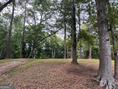 Beautiful 1.6-acre residential lot located in the heart of - photo 5