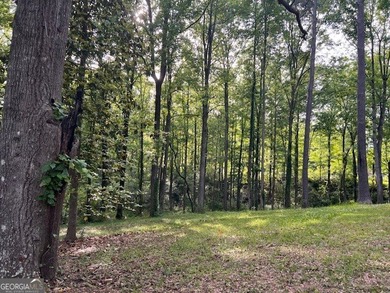Beautiful 1.6-acre residential lot located in the heart of - photo 6