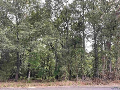 Residential Lot - Shadowood Lake - Waterview - Lake Lot For Sale in Marshall, Texas