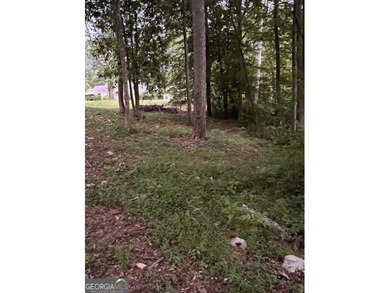 Beautiful 1.6-acre residential lot located in the heart of - photo 7