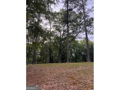 Beautiful 1.6-acre residential lot located in the heart of - photo 8