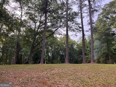 Beautiful 1.6-acre residential lot located in the heart of - photo 9