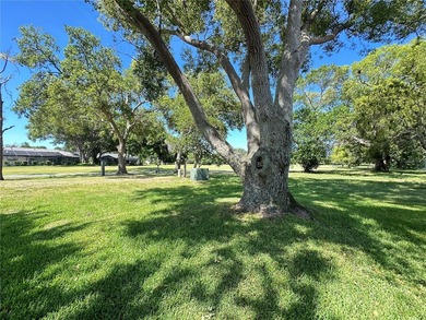 Welcome to this well maintained 2-bedroom, 2-bath, 2-car garage - photo 33