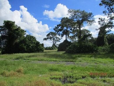 WELCOME to this exceptional 101.77+/-ACRE CATTLE RANCH/FARM - photo 38