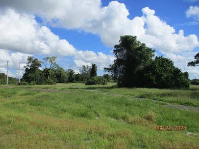 WELCOME to this exceptional 101.77+/-ACRE CATTLE RANCH/FARM - photo 39