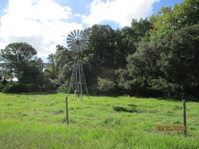 WELCOME to this exceptional 101.77+/-ACRE CATTLE RANCH/FARM - photo 41