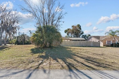 Located on a corner lot in a well-established Deltona - photo 47