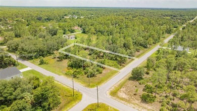 Lehigh Acres Area Lot For Sale in Lehigh Acres Florida