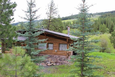AMAZING, ONE-OF-A-KIND PROPERTY IN AN INCREDIBLY SCENIC AREA - photo 29