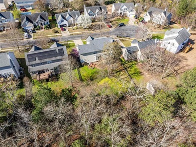 This amenity rich home located in Irmo/Ballentine's sought after - photo 46