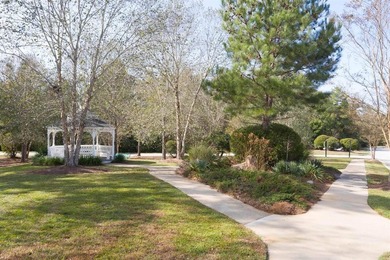 This amenity rich home located in Irmo/Ballentine's sought after - photo 48