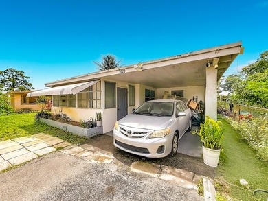 This recently renovated and very spacious 4 bedroom, home - photo 3