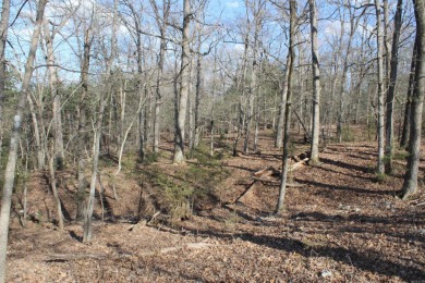 Perfect Setting for Your Getaway Retreat or Forever Home!! - photo 11