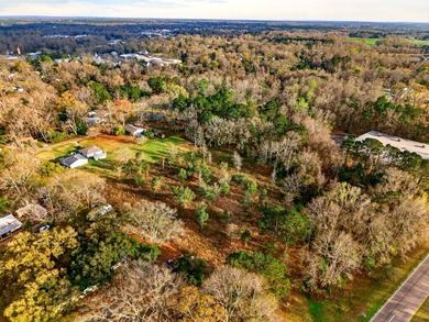Prime Commercial or Residential Opportunity in Poplarville! This - photo 11