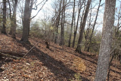 Perfect Setting for Your Getaway Retreat or Forever Home!! - photo 12