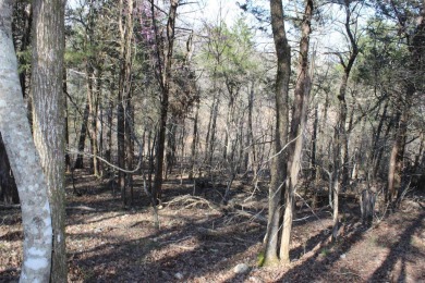 Perfect Setting for Your Getaway Retreat or Forever Home!! - photo 13