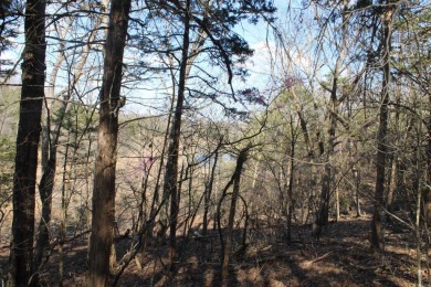 Perfect Setting for Your Getaway Retreat or Forever Home!! - photo 15