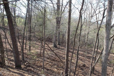 Perfect Setting for Your Getaway Retreat or Forever Home!! - photo 17