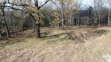 Perfect Setting for Your Getaway Retreat or Forever Home!! - photo 22