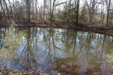 Perfect Setting for Your Getaway Retreat or Forever Home!! - photo 23