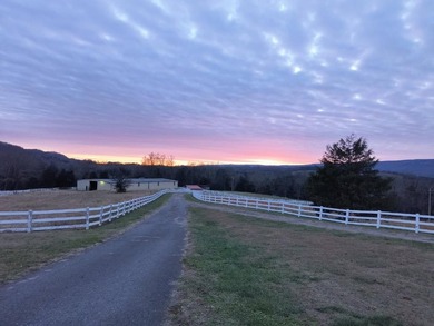 66 acres fenced and cross fenced with 9 pastures. 70x140 (9,800 - photo 23