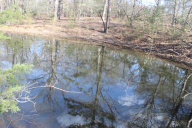 Perfect Setting for Your Getaway Retreat or Forever Home!! - photo 24
