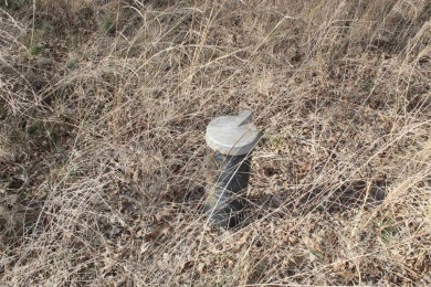 Perfect Setting for Your Getaway Retreat or Forever Home!! - photo 25