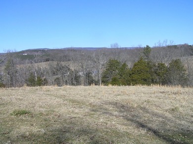 66 acres fenced and cross fenced with 9 pastures. 70x140 (9,800 - photo 25