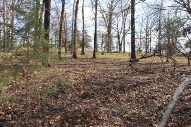 Perfect Setting for Your Getaway Retreat or Forever Home!! - photo 26