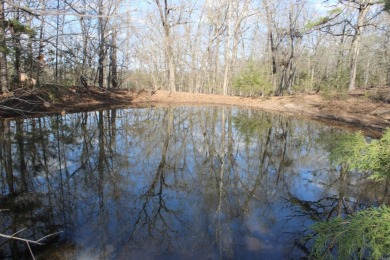 Perfect Setting for Your Getaway Retreat or Forever Home!! - photo 27