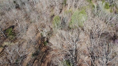 Perfect Setting for Your Getaway Retreat or Forever Home!! - photo 28