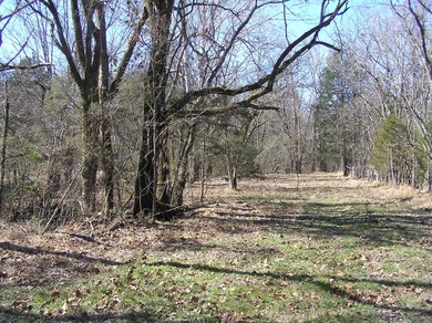 66 acres fenced and cross fenced with 9 pastures. 70x140 (9,800 - photo 28