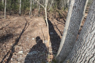 Perfect Setting for Your Getaway Retreat or Forever Home!! - photo 29